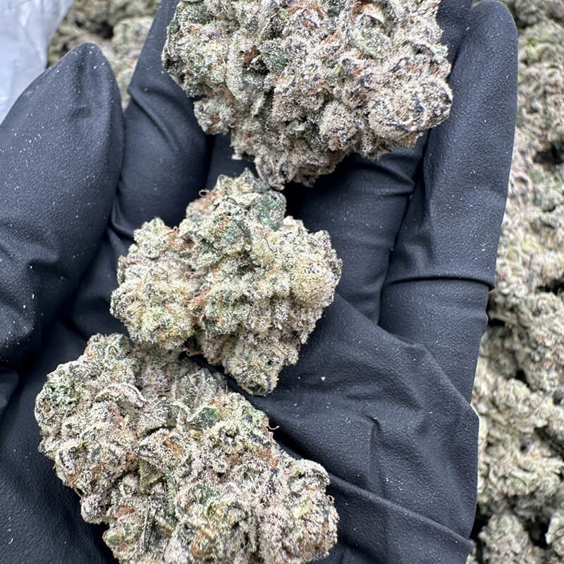 Grand Cru OG flower